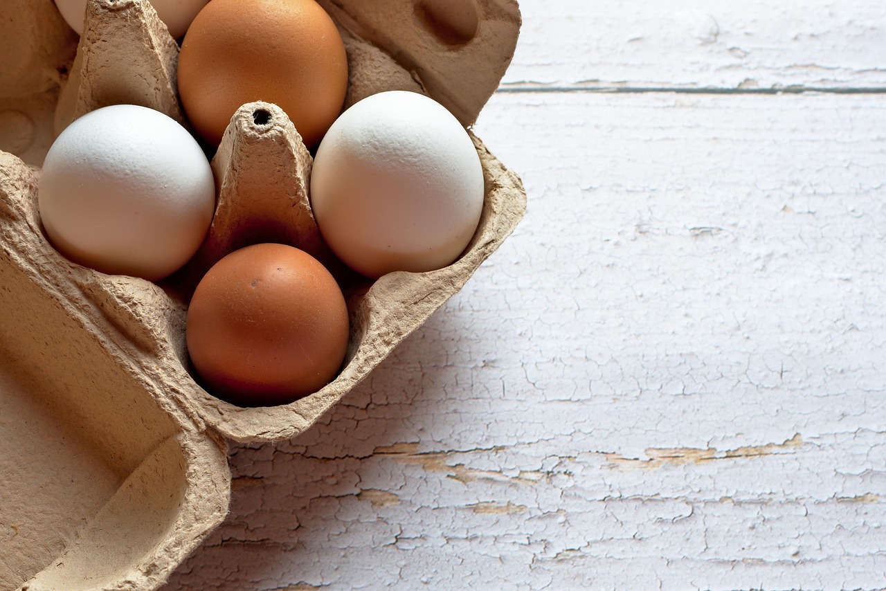 Comió huevos en cada comida durante 5 meses para bajar de peso: qué revelaron sus análisis médicos
