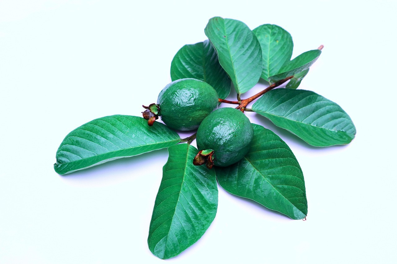 Guayaba: la fruta dulce que ayuda a mantener la glucosa en sangre bajo control