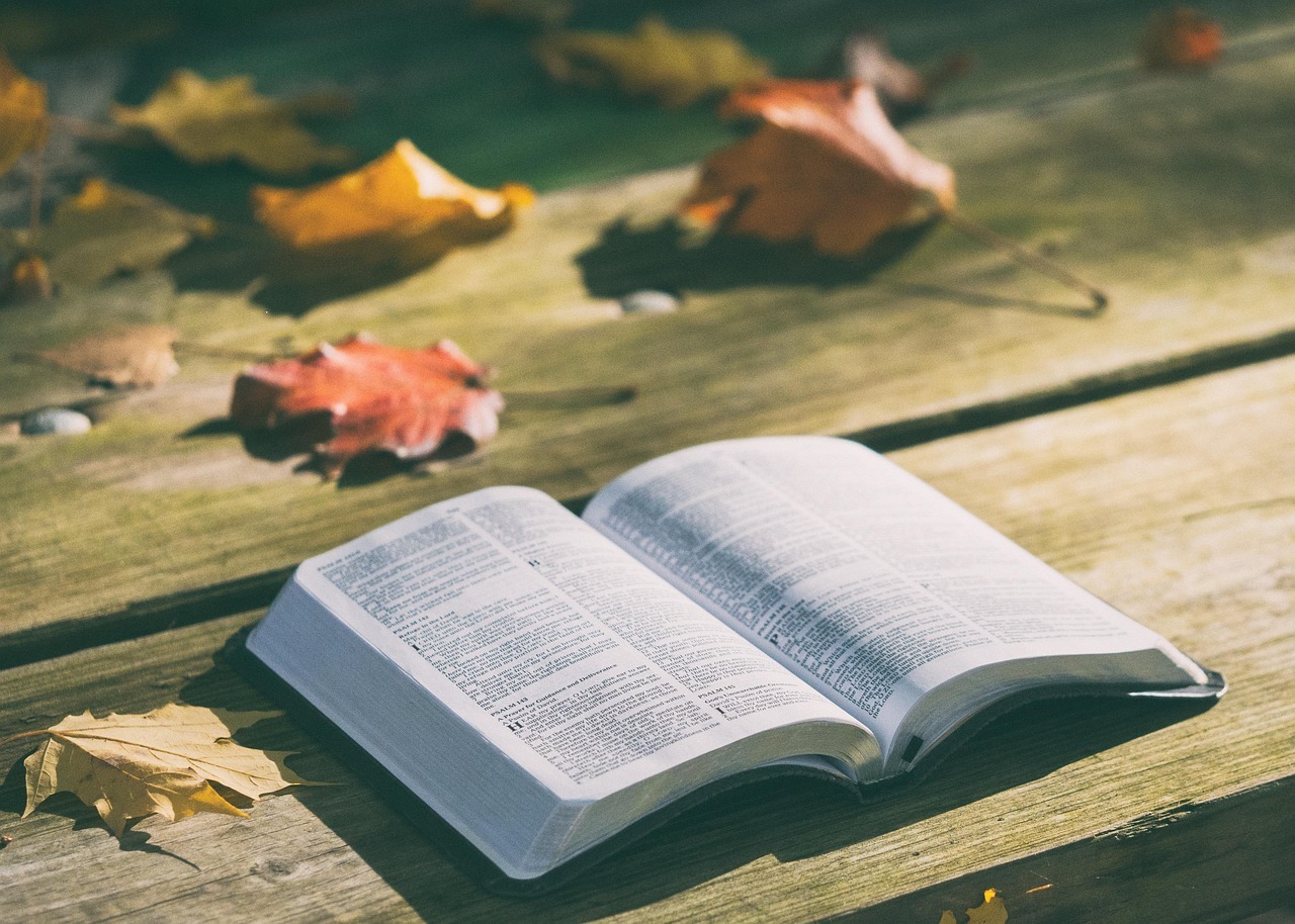 5 Salmos Poderosos para Leer Cada Mañana: Guía Espiritual Diaria