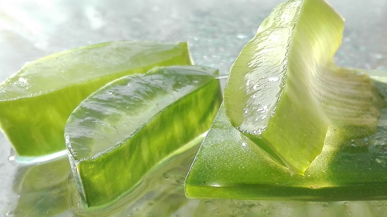 Aceite de aloe vera para el cabello: beneficios, propiedades y cómo actúa en el cuero cabelludo