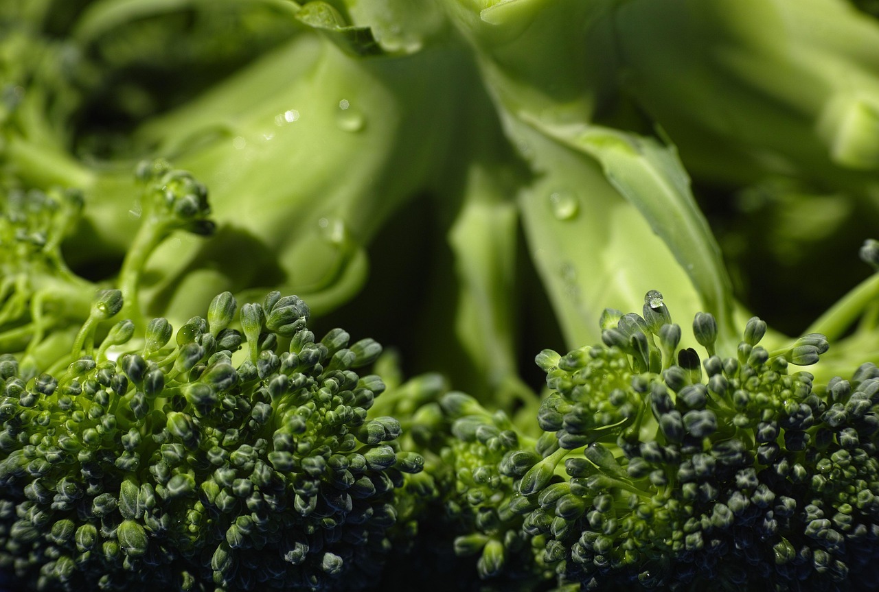 Alimentos que los adultos mayores no deben combinar con el huevo: recomendaciones nutricionales
