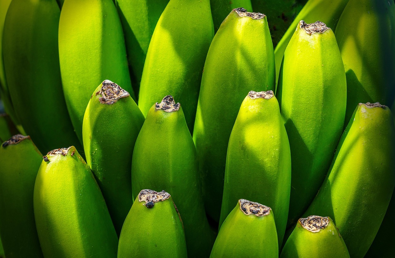 Banana verde, amarilla o con manchas marrones: ¿cuál es realmente la más saludable?
