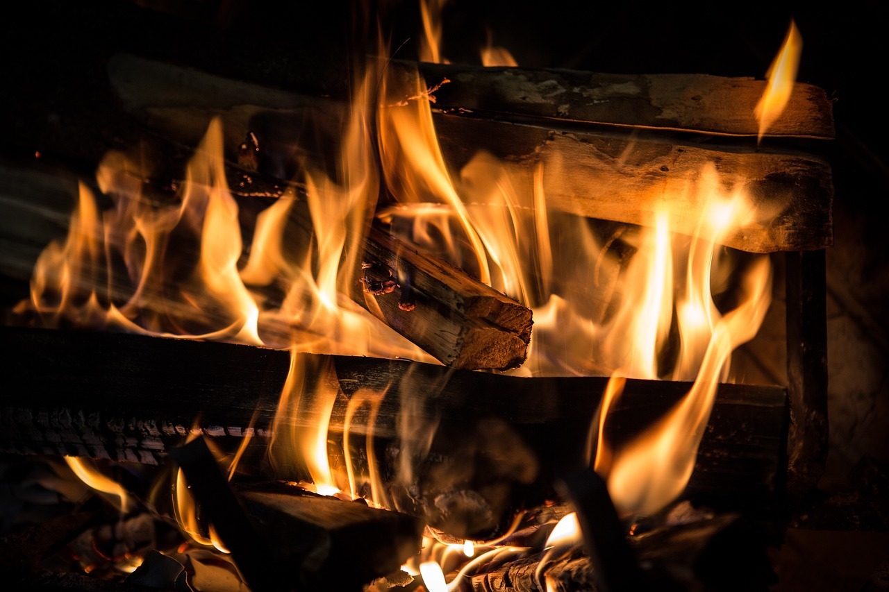 Beneficios de quemar hojas de laurel en casa: usos y propiedades