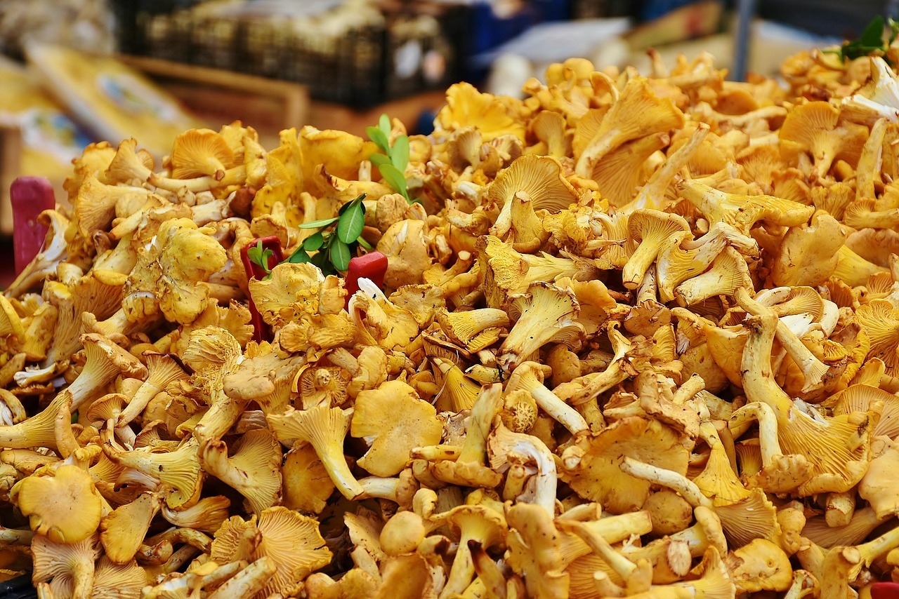 Causas reales del exceso de mucosidad en la garganta y cómo eliminarla de forma natural