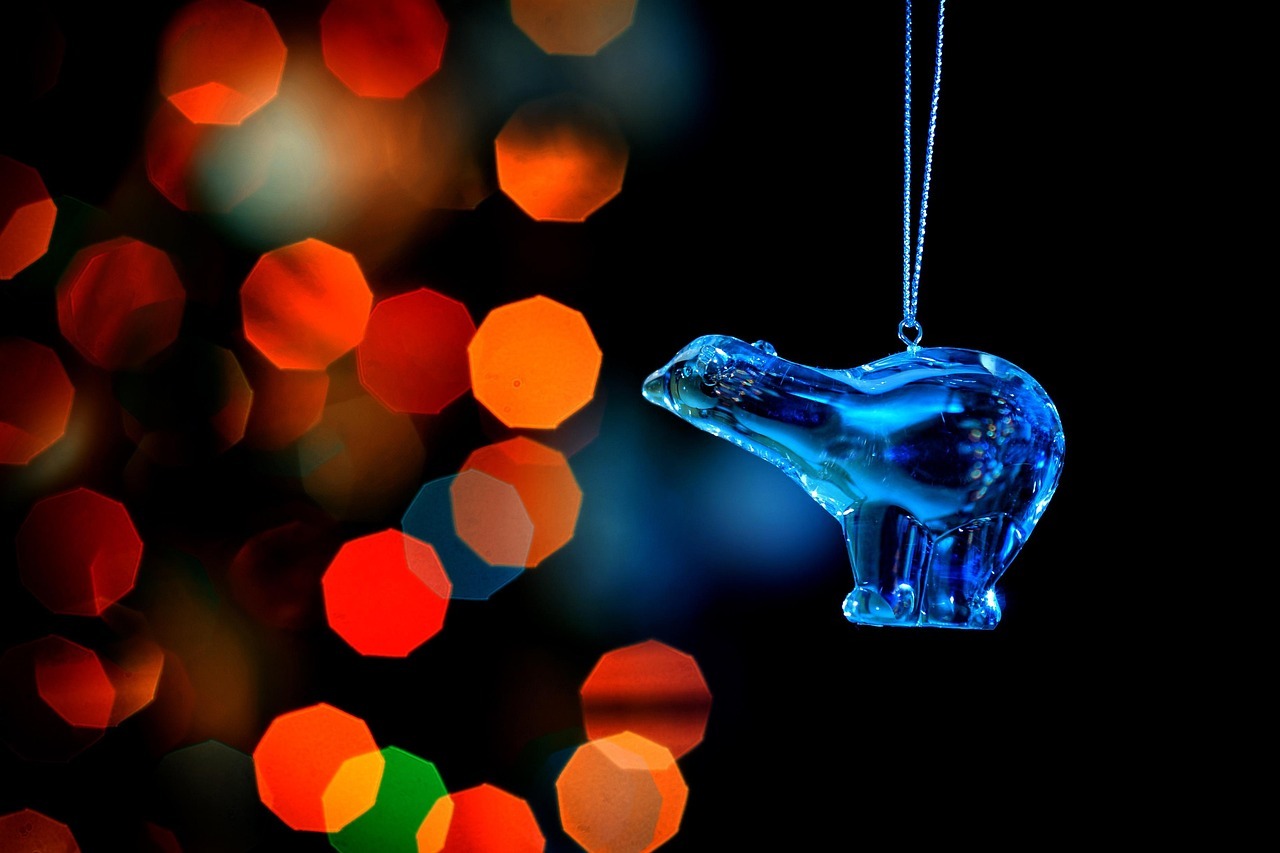 Cómo lograr que tu cactus de Navidad florezca con un truco casero fácil de preparar