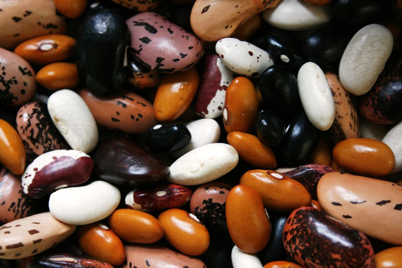 Frijoles: la legumbre cotidiana que ayuda a mantener la glucosa estable