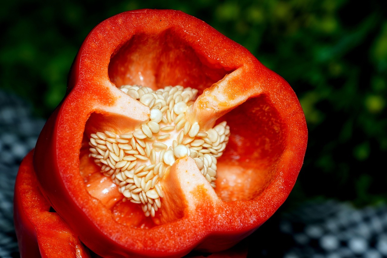 Tomate en rodajas con sal y pimienta: la receta más sencilla y sabrosa