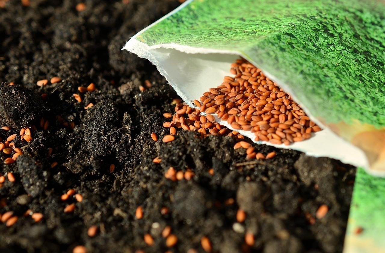 Cómo reutilizar las bolsitas de té en el jardín: 5 usos prácticos y naturales